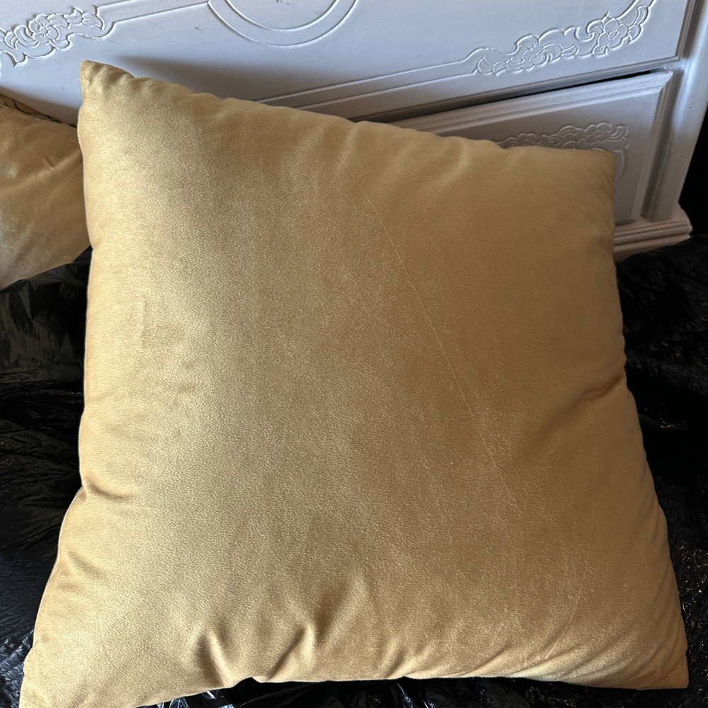 Anthropologie Velvet Pillow - Picture 2 of 2